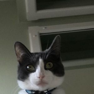 Meet your Posher, Jacob